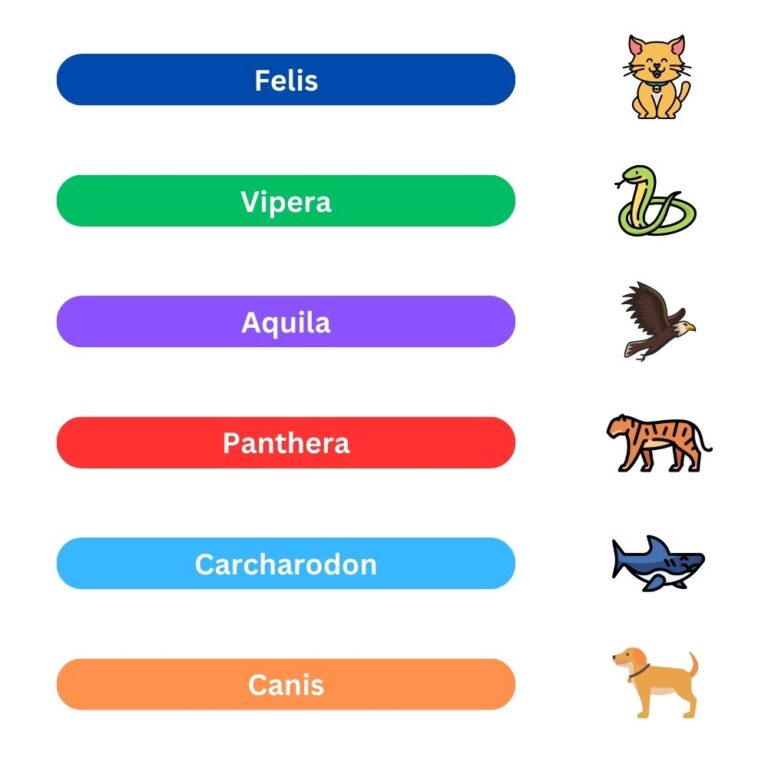 Lire la suite à propos de l’article Le genre dans la classification des animaux : un pilier de la taxonomie